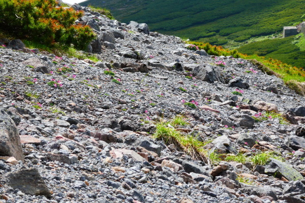 d0170615_14464884.jpg
