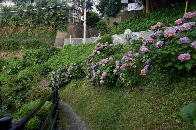d0065116_20465179.jpg