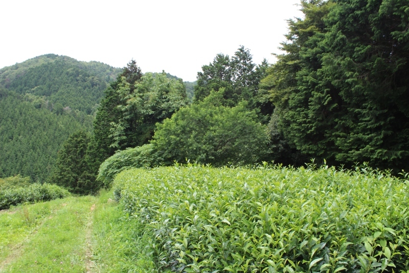 b0220318_07594660.jpg