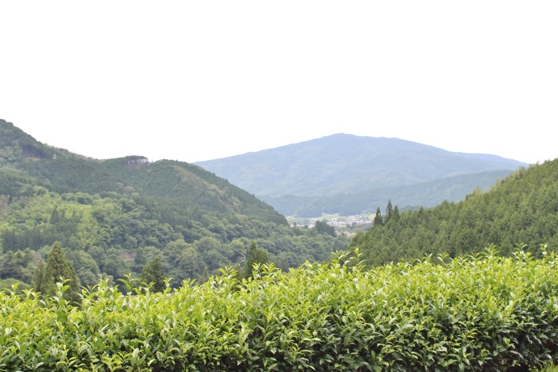 b0220318_08002762.jpg