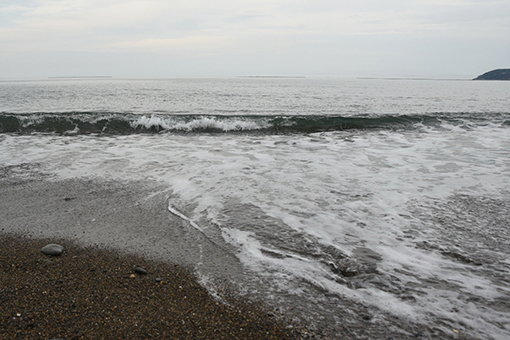 b0259218_04292734.jpg