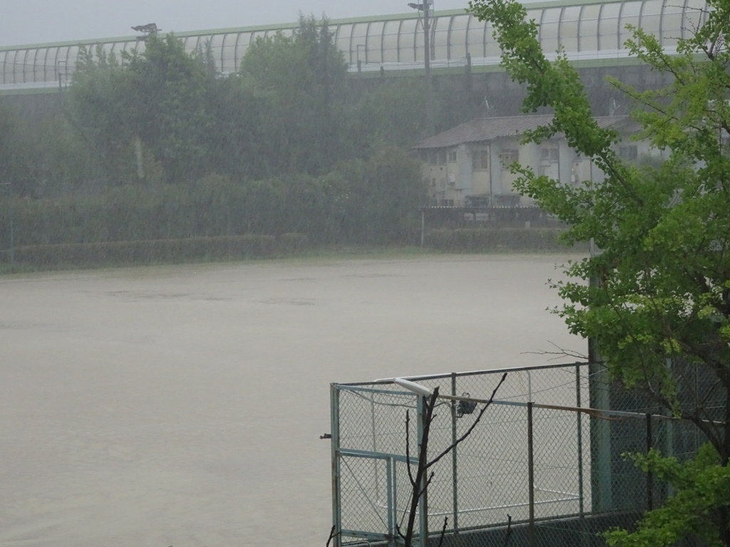 e0251420_15245500.jpg