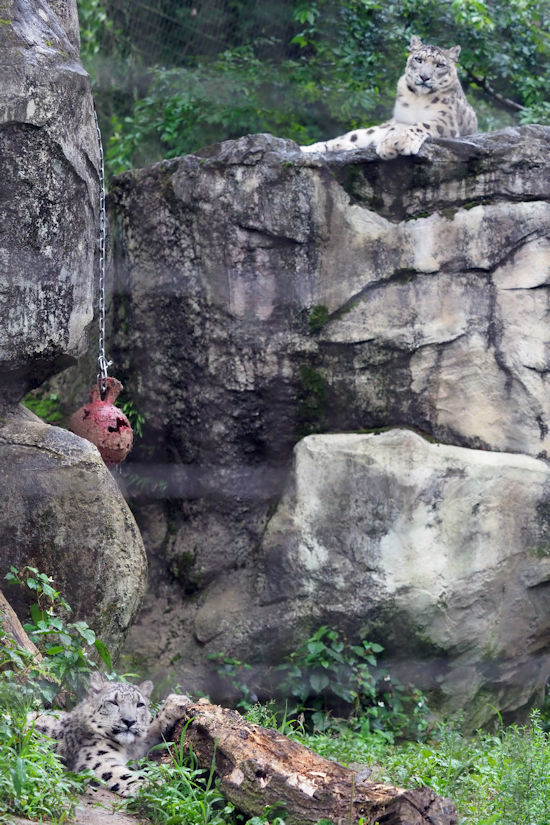 f0224624_07171629.jpg