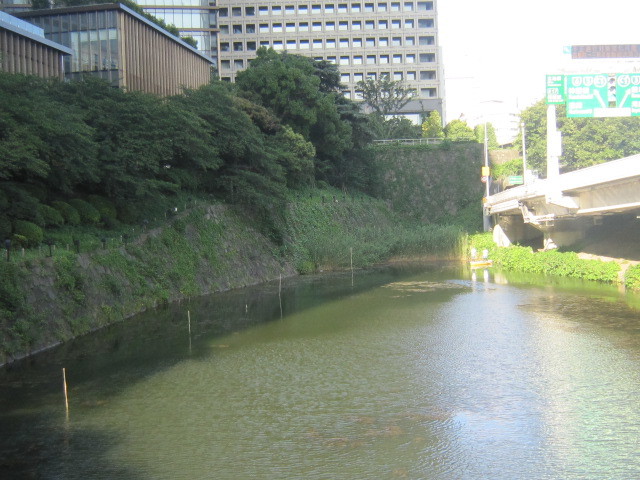d0162225_09513111.jpg