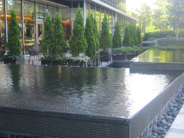 d0162225_09522012.jpg