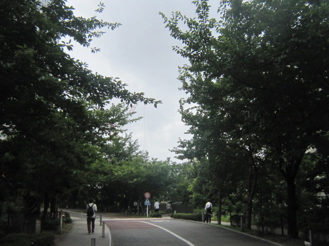 d0162225_10181245.jpg