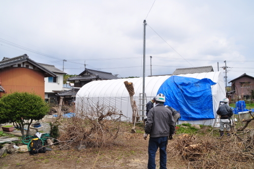 d0053832_22123451.jpg