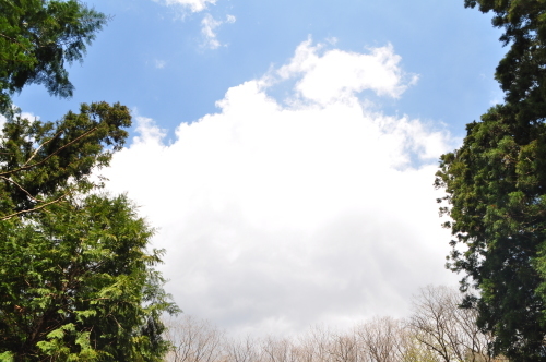 d0053832_22151766.jpg