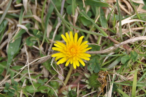 d0053832_22232029.jpg