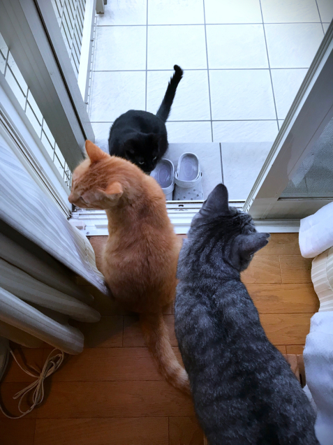 雨が降り続いてます_d0355333_23293879.jpg