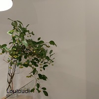 c0342035_14435826.jpg
