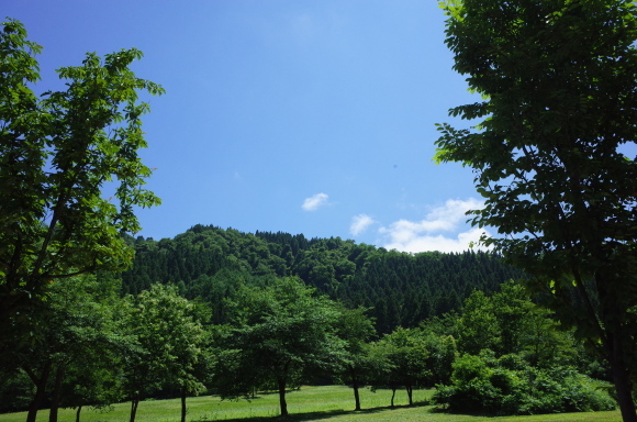 a0287336_21432328.jpg