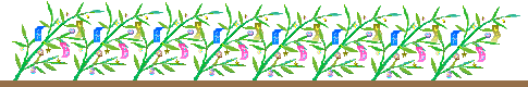 せっかくの誕生日会が_a0263837_09425009.gif