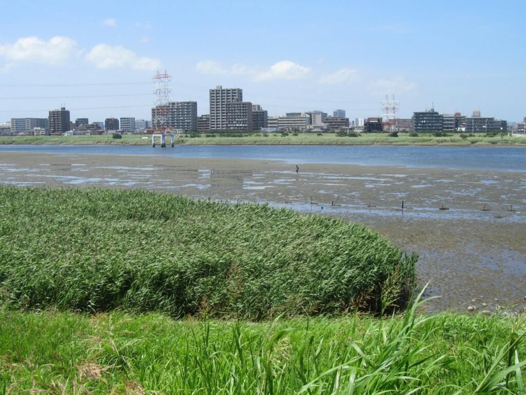 画像情報