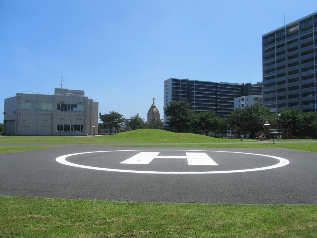 画像情報