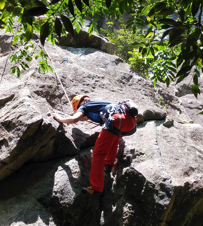 e0371039_11141087.gif