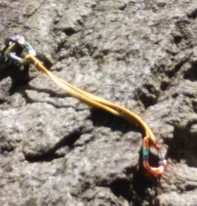 e0371039_11143491.gif