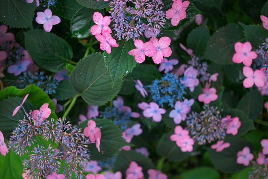 c0067040_23413694.jpg