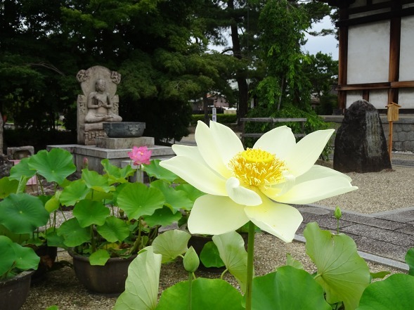 b0299042_21555189.jpg