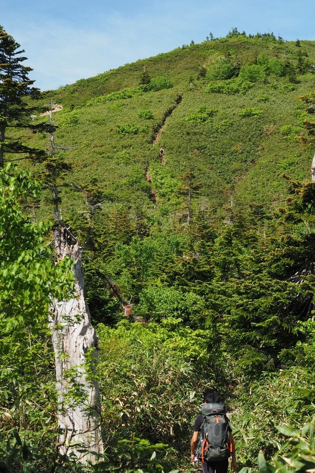 b0189948_1525591.jpg