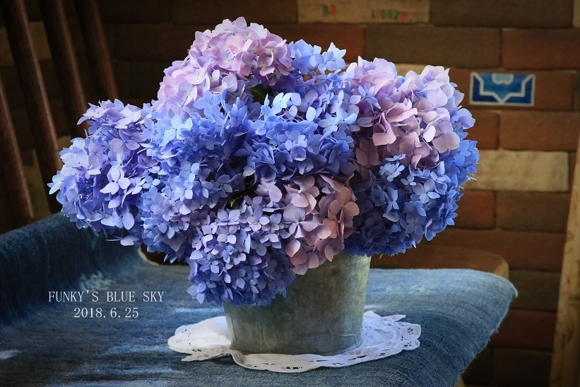 庭のブーケ***　（6月２５日・〆は紫陽花まつり） - FUNKY'S BLUE SKY