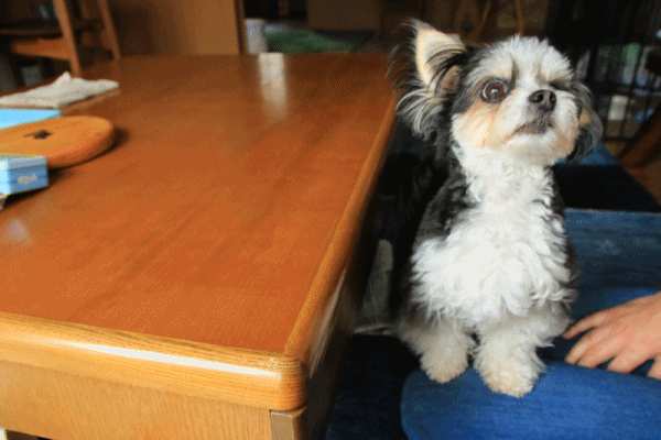 c0145250_16512565.gif