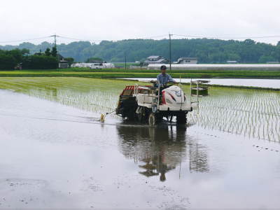 七城米　長尾農園　平成30年度の田植えの様子を現地取材！今年も美しすぎる田んぼなんです！_a0254656_17032483.jpg