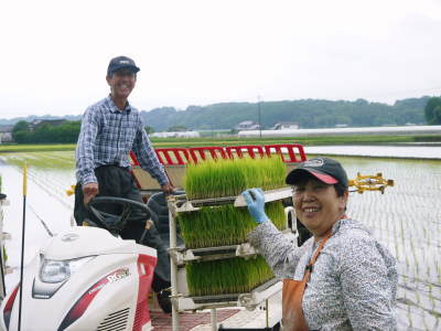 七城米　長尾農園　平成30年度の田植えの様子を現地取材！今年も美しすぎる田んぼなんです！_a0254656_17575205.jpg