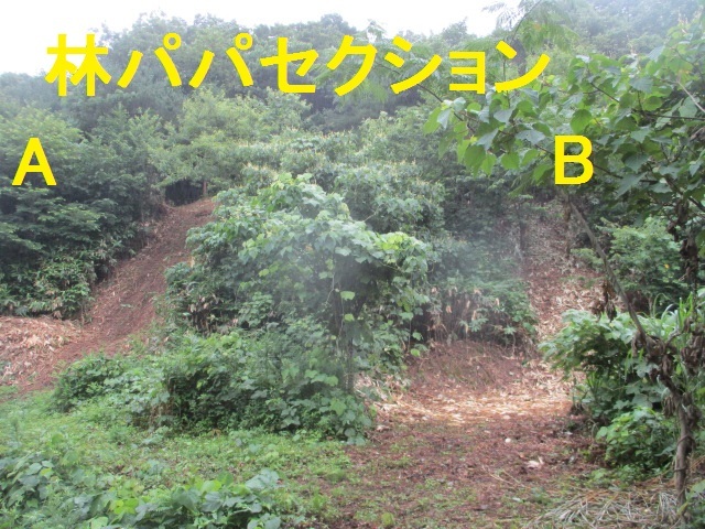 c0080863_11005506.jpg