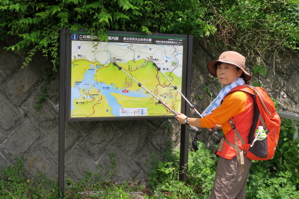 2018年6月1日 鐘ヶ嶽、5日 仏果山・高取山、9日 七沢公園 ハイキング_c0127663_09394870.jpg