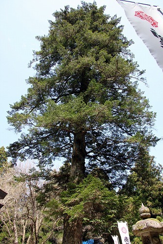 f0106664_06511284.jpg