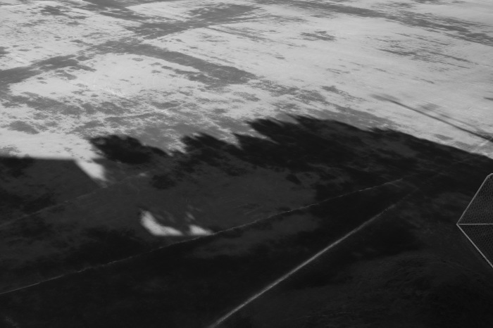 d0349265_16464217.jpg