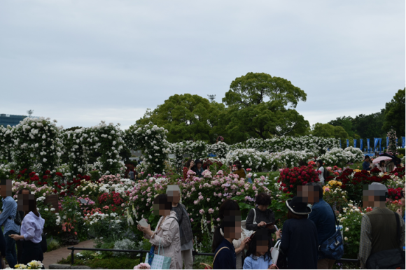 b0242873_14243304.png