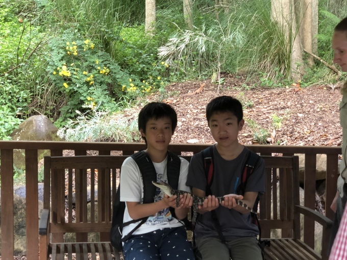 b0193476_19062405.jpeg