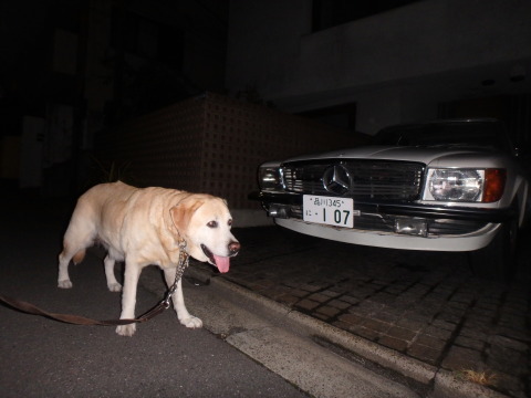 f0052277_23343737.jpg