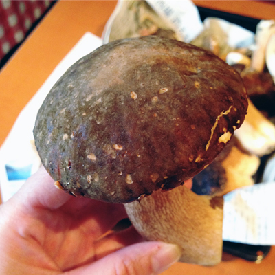 ヤマドリタケ(国産サマーポルチーニ...ですねぇ)、きたーーーーーっ!_f0054977_09381650.jpg