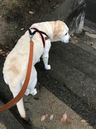 f0315081_21340304.jpeg