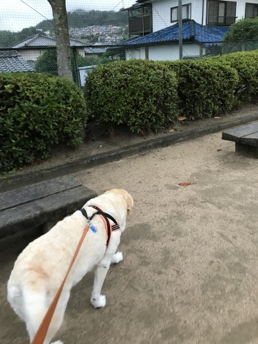 f0315081_21344424.jpeg