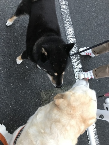 f0315081_21393699.jpeg