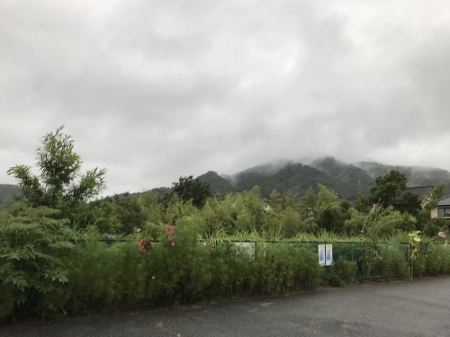 f0315081_21412698.jpeg