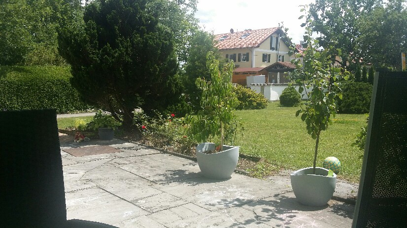 b0169887_14151195.jpg