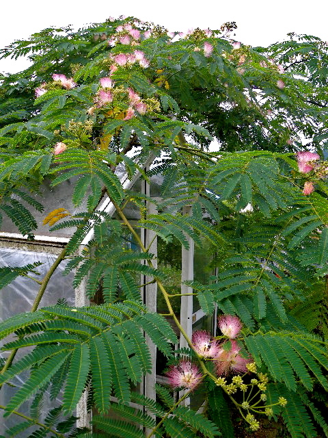 a0199297_21390076.jpg