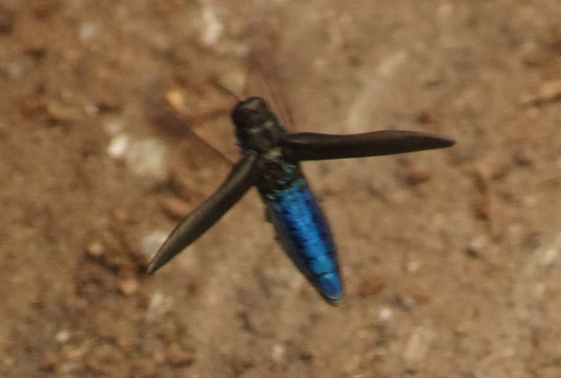 b0028598_18355692.jpg