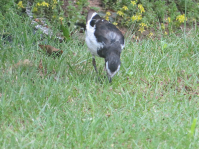 c0125501_16025514.jpg