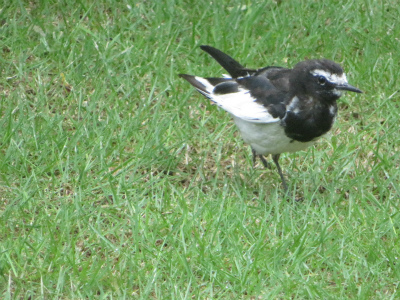 c0125501_16030467.jpg