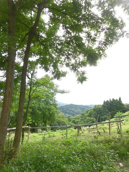e0078404_19062943.jpg