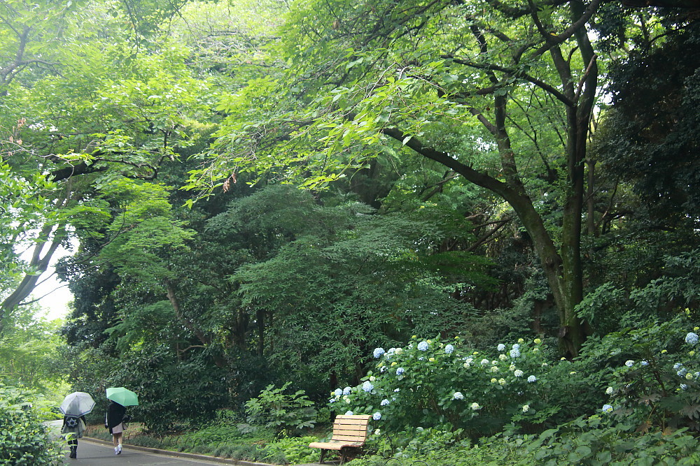 f0131611_20024143.jpg