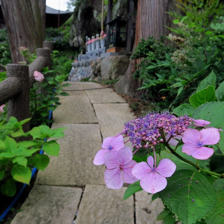 常泉寺_a0268412_22450228.jpg