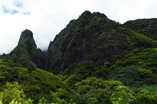 c0148812_15441822.jpg