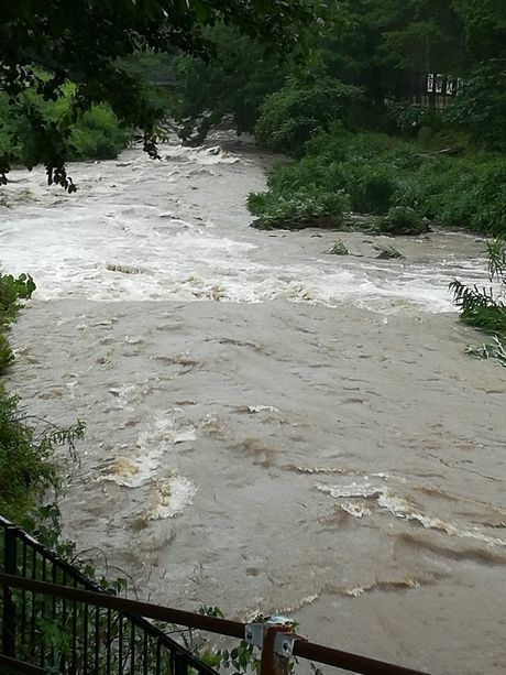 e0219012_07303542.jpg